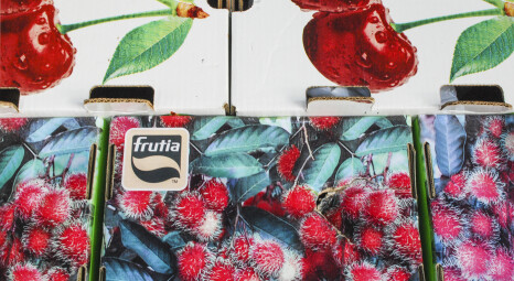 Workshops - Markets of Mina Zayed: A Tour and Fruit Basket-Making